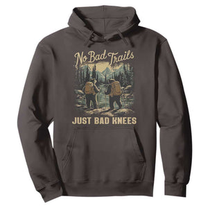 Hiking Hoodie No Bad Trails Just Bad Knees TS09 Dark Chocolate Print Your Wear