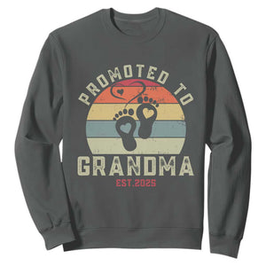Retro Promoted To Grandma est 2025 Sweatshirt TS09 Dark Heather Print Your Wear