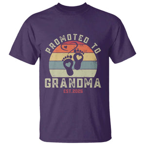 Retro Promoted To Grandma est 2025 T Shirt TS09 Purple Print Your Wear