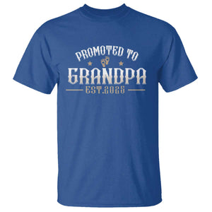Retro Promoted To Grandpa est 2025 T Shirt TS09 Royal Blue Print Your Wear