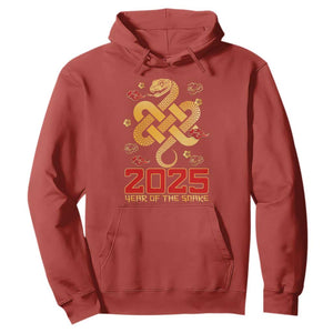 Year Of The Snake 2025 Hoodie Lunar New Year Chinese Traditional TS09 Red Print Your Wear