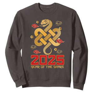 Year Of The Snake 2025 Sweatshirt Lunar New Year Chinese Traditional TS09 Dark Chocolate Print Your Wear