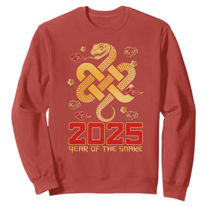 Year Of The Snake 2025 Sweatshirt Lunar New Year Chinese Traditional TS09 Red Print Your Wear