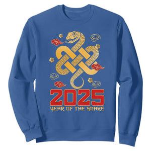 Year Of The Snake 2025 Sweatshirt Lunar New Year Chinese Traditional TS09 Royal Blue Print Your Wear