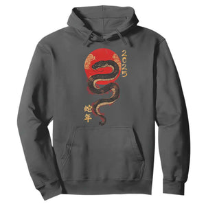 Year Of The Snake 2025 Hoodie Lunar New Year Chinese Snake TS09 Dark Heather Print Your Wear