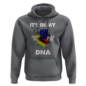 Haitian Jamaican Hoodie It's In My DNA TS09 Charcoal Printyourwear