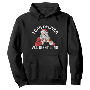 Funny Chrsitmas Hoodie I Can Deliver All Night Long TS09 Black Print Your Wear