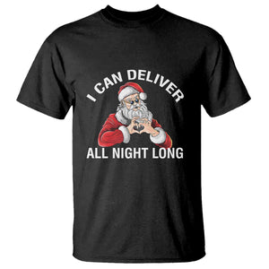Funny Chrsitmas T Shirt I Can Deliver All Night Long TS09 Black Print Your Wear