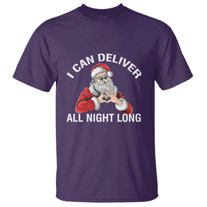 Funny Chrsitmas T Shirt I Can Deliver All Night Long TS09 Purple Print Your Wear