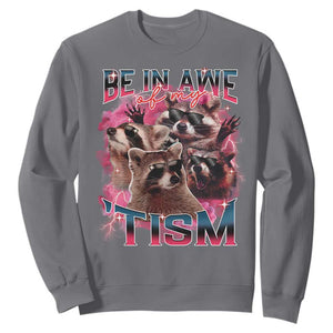 Funny Meme Autistic Raccoon Sweatshirt Be In Awe Of My 'Tism TS09 Charcoal Print Your Wear