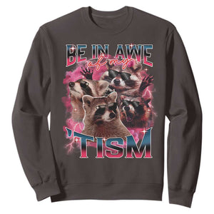Funny Meme Autistic Raccoon Sweatshirt Be In Awe Of My 'Tism TS09 Dark Chocolate Print Your Wear
