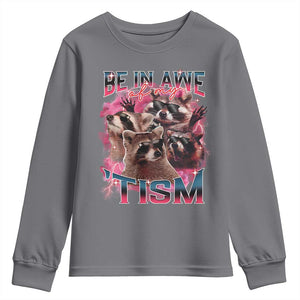 Funny Meme Autistic Raccoon Youth Sweatshirt Be In Awe Of My 'Tism TS09 Charcoal Print Your Wear
