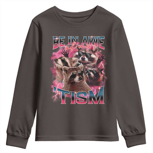 Funny Meme Autistic Raccoon Youth Sweatshirt Be In Awe Of My 'Tism TS09 Dark Chocolate Print Your Wear