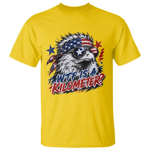 Funny 4th Of July WTF Is A Kilometer T Shirt Vintage USA Meme Patriotic Eagle Humor Independence Day TS10 Daisy Print Your Wear
