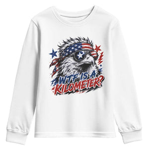 Funny 4th Of July WTF Is A Kilometer Youth Sweatshirt Vintage USA Meme Patriotic Eagle Humor Independence Day