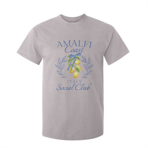Amalfi Coast T Shirt For Kid Sorrento Italy Vacation Gift TS10 Ice Gray Print Your Wear