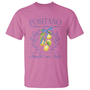 Positano Italy T Shirt Amalfi Coast Italian Lemons Town Italy Vacation TS10 Azalea Print Your Wear