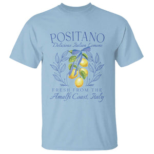 Positano Italy T Shirt Amalfi Coast Italian Lemons Town Italy Vacation TS10 Light Blue Print Your Wear