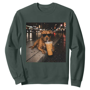 Funny Pitbull Drinking Iced Coffee Sweatshirt Vintage Pittie Dog Lovers Meme