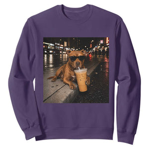 Funny Pitbull Drinking Iced Coffee Sweatshirt Vintage Pittie Dog Lovers Meme