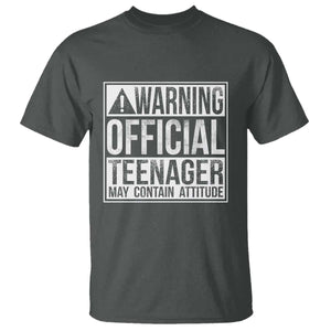 13th Birthday T Shirt Warning Official Teenager Boy 13yr TS10 Dark Heather Print Your Wear