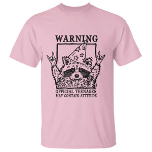 Vintage Raccoon 13th Birthday T Shirt 13 Year Old Official Teenager Gifts TS10 Light Pink Print Your Wear