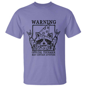 Vintage Raccoon 13th Birthday T Shirt 13 Year Old Official Teenager Gifts TS10 Violet Print Your Wear