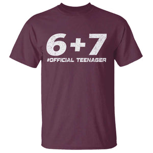 Funny 13th Birthday Official Teenager T Shirt 13 Years Old Boys Kids TS10 Maroon Print Your Wear