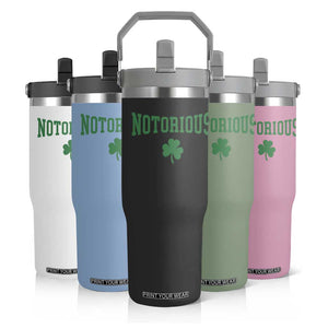 Irish Pride Boxing Fighting Notorious Flip Straw Tumbler Retro Shamrock Varsity Irish Lucky Clover Graphic TS10 Print Your Wear