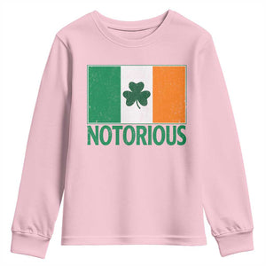 Irish Pride Boxing Fighting Notorious Youth Sweatshirt Vintage Ireland Flag Irish Retro Throwback TS10 Light Pink Print Your Wear