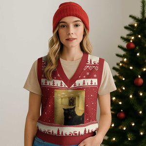 Black Cat Selfie with Dinosaur in The Backrooms Liminal Space Graphic V-Neck Knit Sweater Vest Liminal Space Urban Legend Meme TS10 Red Beige Print Your Wear