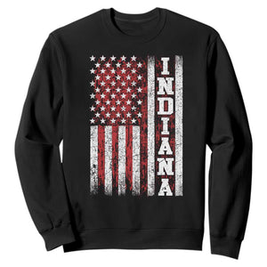 Indiana Fan Sweatshirt Classic Retro City USA Flag Patriotic American TS10 Black Print Your Wear