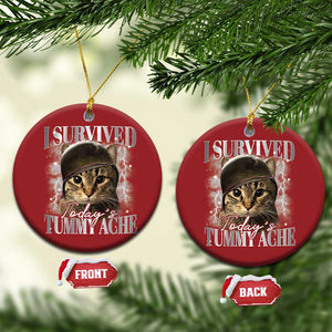 Tummy Ache Survivor Cat Meme Christmas Ornament Funny Saying Cats Cat Bootleg TS10 Circle Red Print Your Wear