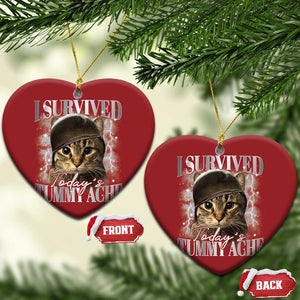 Tummy Ache Survivor Cat Meme Christmas Ornament Funny Saying Cats Cat Bootleg TS10 Heart Red Print Your Wear