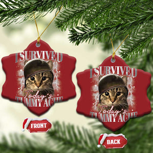 Tummy Ache Survivor Cat Meme Christmas Ornament Funny Saying Cats Cat Bootleg TS10 Snow Flake Red Print Your Wear