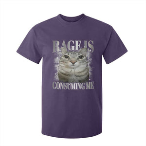 Rage Is Consuming Me T Shirt For Kid Funny Silly Cat Memes TS10 Purple Print Your Wear