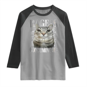 Rage Is Consuming Me Raglan Shirt Funny Silly Cat Memes TS10 Sport Gray Black Print Your Wear
