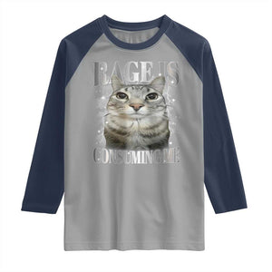 Rage Is Consuming Me Raglan Shirt Funny Silly Cat Memes TS10 Sport Gray Navy Print Your Wear