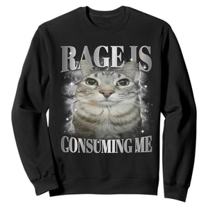 Rage Is Consuming Me Sweatshirt Funny Silly Cat Memes TS10 Black Print Your Wear