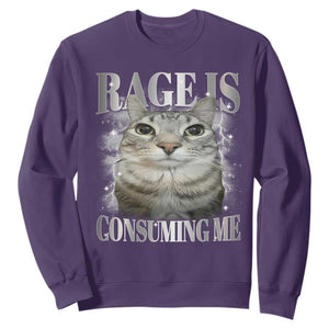 Rage Is Consuming Me Sweatshirt Funny Silly Cat Memes TS10 Purple Print Your Wear