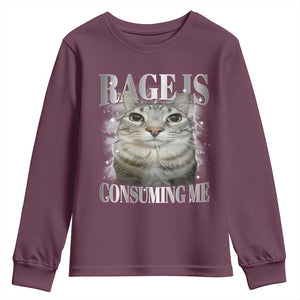 Rage Is Consuming Me Youth Sweatshirt Funny Silly Cat Memes TS10 Maroon Print Your Wear
