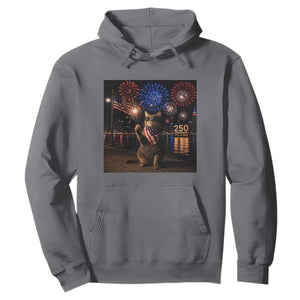 USA 250th Anniversary Cat Hoodie Funny 4th Of July Independence Day 250 Years 1776 2026 Patriotic Celebration Meme
