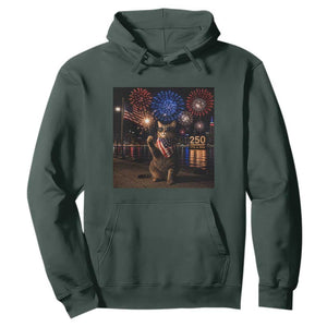 USA 250th Anniversary Cat Hoodie Funny 4th Of July Independence Day 250 Years 1776 2026 Patriotic Celebration Meme