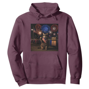 USA 250th Anniversary Cat Hoodie Funny 4th Of July Independence Day 250 Years 1776 2026 Patriotic Celebration Meme