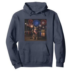 USA 250th Anniversary Cat Hoodie Funny 4th Of July Independence Day 250 Years 1776 2026 Patriotic Celebration Meme