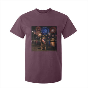 USA 250th Anniversary Cat T Shirt For Kid Funny 4th Of July Independence Day 250 Years 1776 2026 Patriotic Celebration Meme