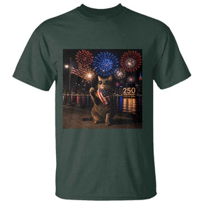 USA 250th Anniversary Cat T Shirt Funny 4th Of July Independence Day 250 Years 1776 2026 Patriotic Celebration Meme