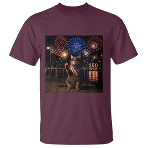 USA 250th Anniversary Cat T Shirt Funny 4th Of July Independence Day 250 Years 1776 2026 Patriotic Celebration Meme