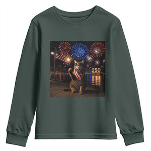 USA 250th Anniversary Cat Youth Sweatshirt Funny 4th Of July Independence Day 250 Years 1776 2026 Patriotic Celebration Meme