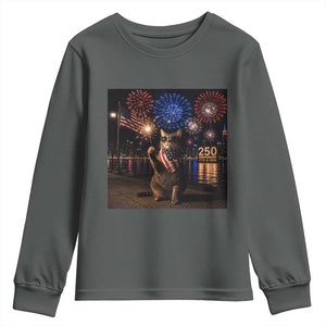 USA 250th Anniversary Cat Youth Sweatshirt Funny 4th Of July Independence Day 250 Years 1776 2026 Patriotic Celebration Meme